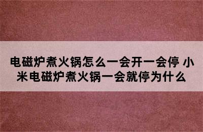 电磁炉煮火锅怎么一会开一会停 小米电磁炉煮火锅一会就停为什么